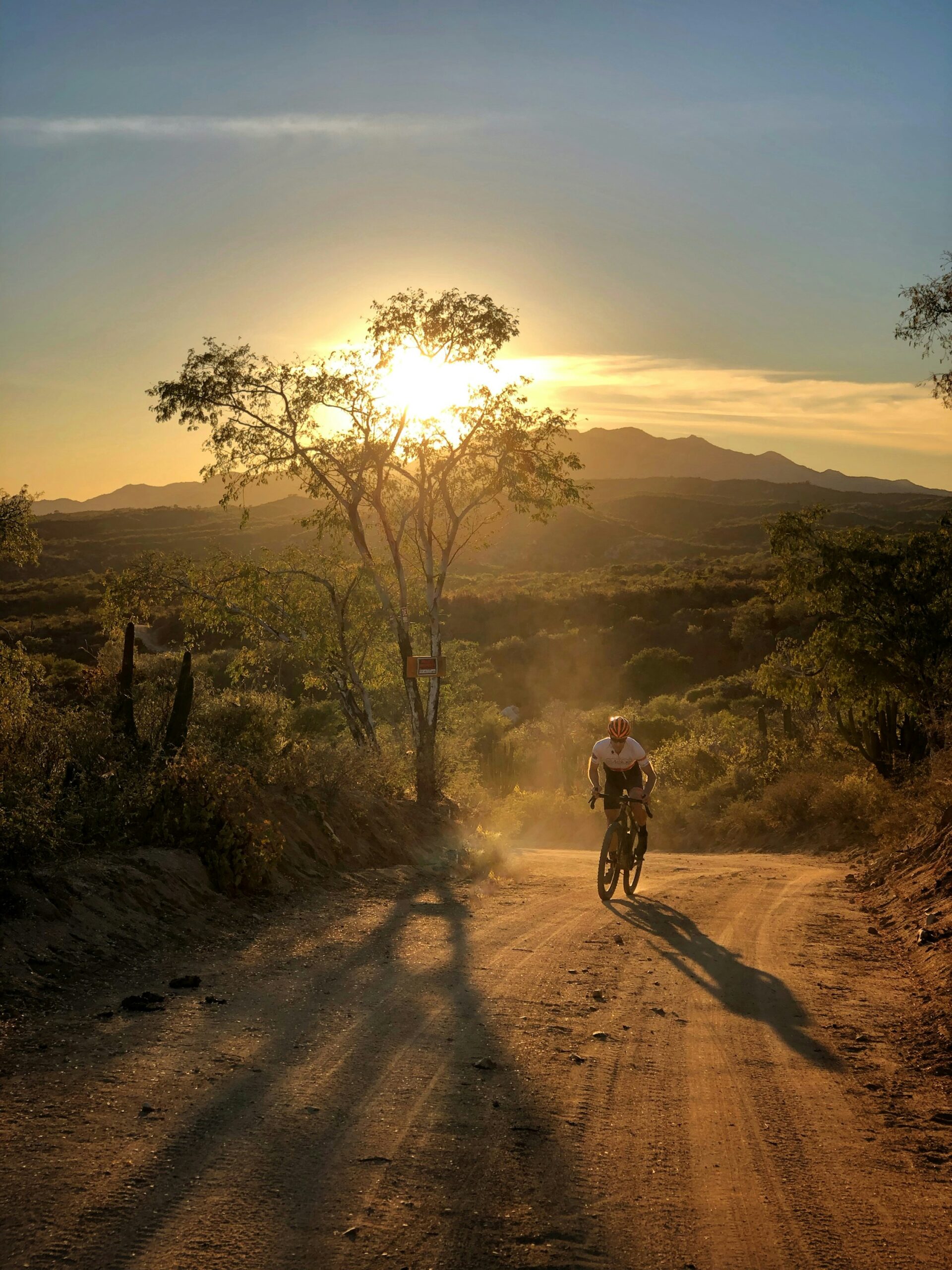 mountain_bike_image